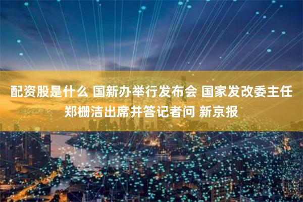 配资股是什么 国新办举行发布会 国家发改委主任郑栅洁出席并答记者问 新京报