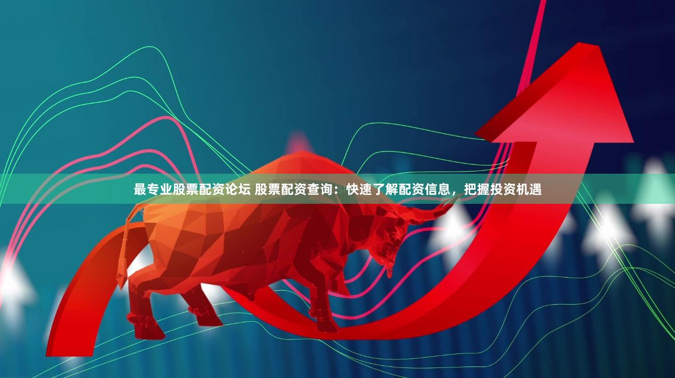 最专业股票配资论坛 股票配资查询：快速了解配资信息，把握投资机遇