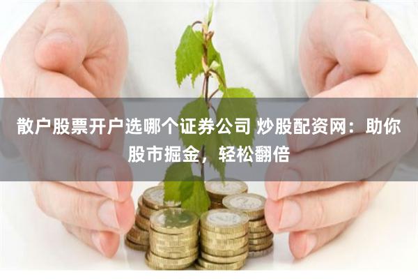 散户股票开户选哪个证券公司 炒股配资网：助你股市掘金，轻松翻倍
