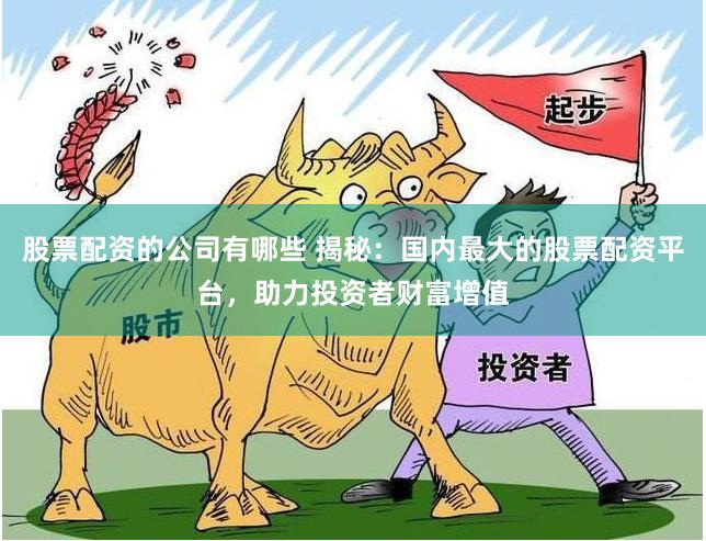 股票配资的公司有哪些 揭秘：国内最大的股票配资平台，助力投资者财富增值
