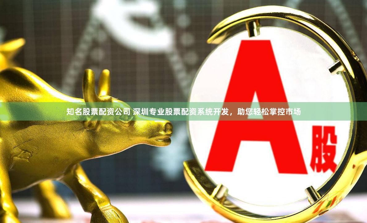 知名股票配资公司 深圳专业股票配资系统开发，助您轻松掌控市场