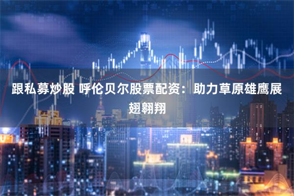 跟私募炒股 呼伦贝尔股票配资:助力草原雄鹰展翅翱翔