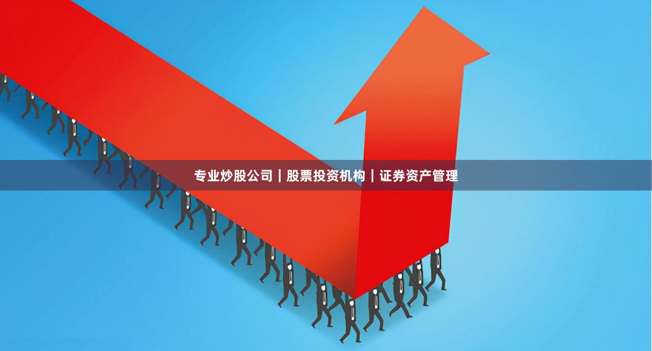 专业炒股公司｜股票投资机构｜证券资产管理